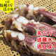 云南特產(chǎn)麗江臘排骨農(nóng)家直排火鍋自制臘肉排骨