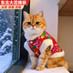 阿莫爾貓咪唐裝狗狗衣服東北大花棉襖泰迪比熊博美柯基小狗新年喜慶服裝 東北大花（紅色） M-具體參考背長(zhǎng)和胸圍