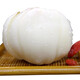 金城百合谷蘭州百合甘肅特產(chǎn)生鮮百合新鮮現挖農家食用甜 炒菜燉湯滋潤蔬菜 精品四頭裝5斤 （真空+冰袋）