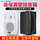 愛(ài)步者（aibuz） 壁掛吸頂音響掛壁式音箱超市店鋪餐廳背景音樂(lè)系統(tǒng)吊頂會(huì)議音響喇叭套裝 25W高保真壁掛音箱1個(gè) 黑色音箱