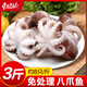 東上御品 國產(chǎn) 三去小章魚凈重3斤約24只 八爪魚 去牙去臟 海鮮-源頭直發(fā)