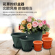 綠園匠花盆種菜盆加侖加厚塑料樹(shù)脂盆綠蘿花卉植物月季大號帶托盤(pán)3個(gè)裝