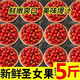 京營(yíng)現摘圣女果小番茄新鮮孕婦水果酸甜千禧小西紅柿孕婦兒童新鮮水果