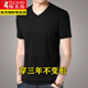 啄木鳥（TUCANO）桑蠶絲短袖t恤男V領(lǐng)品牌男裝純色真絲半袖體恤雞心領(lǐng)打底衫上衣 黑色 V領(lǐng) 180=XXL