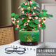 小盼菩提樹盆栽綠植物室內(nèi)花盆景辦公室桌面觀葉四季客廳好養(yǎng)活樹 特大盼菩提（帶果發(fā)貨）綠蘭香陶瓷盆 帶盆栽好