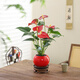 八芽紅掌盆栽一帆風(fēng)順八方來(lái)財(cái)室內(nèi)桌面好養(yǎng)活花卉綠植年宵花過(guò)年送禮 紅掌-紅球盆-紫砂托盤(pán)-圓木托 帶盆栽好