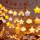 歐妮姿生日小彩燈生日?qǐng)鼍安贾门⑸盏谰叻諊泻⑴蓪?duì)裝飾生日快樂(lè)