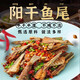 湖之香 湖北荊楚特產(chǎn)陽(yáng)干魚(yú)尾臘魚(yú)尾無(wú)防腐添加自制腌魚(yú)干魚(yú)干貨臘味 陽(yáng)干魚(yú)尾【258g/包】 2包