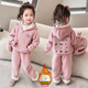蟻派女童加絨套裝2024冬季新款女孩寶寶加厚一體羊駝絨兒童休閑兩件套 粉紅色(加絨兔子套裝) 110碼  建議3-4歲 (身高105左右)