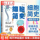 細(xì)胞簡史 程林 細(xì)胞基礎(chǔ)知識 細(xì)胞治療 細(xì)胞生物學(xué)發(fā)展脈絡(luò) 細(xì)胞簡史科普讀物 上海交通大學(xué)出版社 湖北新華書店旗艦店