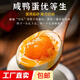 熟咸鴨蛋 紅心流油蛋黃熟鹽蛋真空包裝 10枚裝（單枚50g以上）