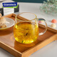 Glasslock玻璃杯水杯高硼硅玻璃耐冷耐熱泡茶杯帶把手防燙透明咖啡杯450ml