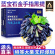 裕瓊金手指葡萄藍(lán)寶石新鮮水果【順豐速運】河北長型美人無籽黑指提子 凈重3斤精品裝 精品一級果