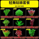 勝畫(huà)魚(yú)缸水草植物直接入缸真水草凈化竹節草蜈蚣草懶人養魚(yú)水草造景 【百花齊放套餐B】40-50CM缸套餐
