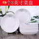 正檀10個(gè)菜盤(pán) 中式創(chuàng  )意陶瓷圓盤(pán)可微波爐飯盤(pán)碟子湯盤(pán) 家用盤(pán)子餐具 搖錢(qián)樹(shù)8只8英寸菜盤(pán)