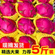 紅心火龍果金都一號(hào)當(dāng)季新鮮應(yīng)季水果整箱火龍果3/5大果海南特產(chǎn) 大果6--8兩單果 5斤（JD快遞送貨上門）