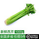 綠食者 新鮮西芹1000g 大芹菜 洋芹菜 健康輕食蔬菜
