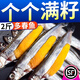 多春魚滿籽新鮮冷凍 非即食大號多籽魚燒烤食材海鮮水產(chǎn)魚類 長度13-15cm   5斤裝