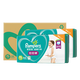 幫寶適（Pampers）超薄干爽拉拉褲 綠幫成長褲 尿不濕 加大號XL128片