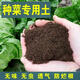 精品陽(yáng)臺蔬菜養花種植土通用型天然有機種菜綠植土營(yíng)養土大包 30斤精選陽(yáng)臺種菜養花土 營(yíng)養土