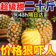 純甜海南金鉆鳳梨新鮮水果應季10斤芒果鳳梨手撕香水鳳梨大果無(wú)眼 9斤