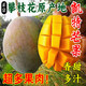 攀枝花凱特芒10斤新鮮甜心芒當季特產(chǎn)水果現摘青皮芒大果整箱包郵 5斤大果凱特芒