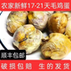 微山湖新鮮18天半雞半蛋雞40枚只胚蛋喜蛋鳳凰蛋生毛蛋毛雞蛋非活珠子RR 40枚
