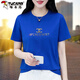 啄木鳥(niǎo)（TUCANO）短袖T恤女女士夏季2023新款時(shí)尚中年夏裝寬松顯瘦上衣 藍色 2XL