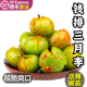 夢(mèng)茜兒順豐 正宗錢(qián)排三華李 紅心李子禮盒裝綠心三月新鮮信宜酸甜脆 三月李 9斤 中果10-15g【普快】 +辣椒鹽 酸辣可口 香味四溢