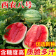 中科茂華（ZHONG KE MAO HUA）西瓜種子大果巨型 西農八號雜交大花皮西瓜露地保護地蔬菜種籽 西農八號 5克/袋（約45粒）