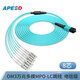 APESD MPO-MPO光纖跳線(xiàn)MPO-LC數據線(xiàn)LSZH主干跳線(xiàn)OM3/OM4萬(wàn)兆多模連接線(xiàn) MPO-LC 8芯(OM3-300)40G 1m