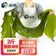 溢源【源頭直發(fā)】整條鹽漬海帶包飯整顆原料菜非干貨涼菜涼拌煲湯食材 2斤
