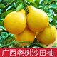 山間果好 廣西陽(yáng)朔沙田柚子新鮮水果純甜柚子孕婦水果當季現摘白肉柚子 8-9斤（3-4個(gè)裝大果）