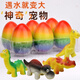 彤蓓佳恐龍蛋玩具可孵化泡水變大盲盒大號恐龍變形創(chuàng)意仿真動物 孵化蛋六粒(雞蛋大小)