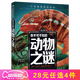 你不可不知的人類之謎 宇宙之謎 地球之謎 世界之謎 海洋之謎 科學(xué)之謎 世界未解之謎 中小學(xué)生科普讀物少兒百科三四五六年級(jí)課外閱讀書 少年探索發(fā)現(xiàn)系列 動(dòng)物之迷