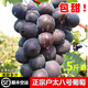 菓靈稥【順豐空運(yùn)】戶太八號(hào)葡萄陜西特產(chǎn)戶縣正宗滬太8號(hào)中秋水果禮盒