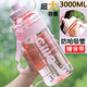 希樂(lè )超大容量太空杯tritan材質(zhì)塑料水杯便攜大號水壺戶(hù)外健身運動(dòng)水杯 粉色【提手+背帶+吸管】3000ml