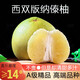 大象芭蕾云南傣柚西雙版納東試早柚青柚子白肉蜜柚新鮮當(dāng)季水果孕婦水果 特大果兩個(gè)【凈重5斤左右】