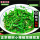 荔口?，F(xiàn)摘自種正宗岳陽湘陰小樟樹港辣椒新鮮蔬菜嫩薄皮卜白青辣椒5斤 樟樹港小辣椒 3斤 發(fā)順豐【東三西三海南+20】