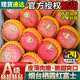 京橙美錦山東煙臺(tái)棲霞紅富士蘋果新鮮應(yīng)季水果脆甜一級(jí)薄皮紅蘋果現(xiàn)摘整箱 帶箱9.5-10斤大果【80-85mm】