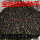 薌苒 海南黃花梨金木樹(shù)苗南方北方珍稀名貴樹(shù)種小葉楨楠沉香樹(shù)種子 金絲楠木種子50克