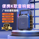 山水（SANSUI）G50無(wú)線藍(lán)牙音箱音響功放一體機(jī)新款便攜式K歌手提戶外小型家用收音機(jī)大音量廣場(chǎng)舞大功率重低音炮 G50【旗艦版】無(wú)麥 6.5寸重低音喇叭