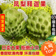 鹿凌青【順豐上門(mén)】牛奶鳳梨釋迦果 新鮮番荔枝佛頭果熱帶水果大果孕婦 750g 超大果(籽少肉厚)