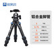 思銳（SIRUI）桌面三腳架 AM系列便攜含云臺佳能尼康單反相機全景拍攝桌面直播穩固三角架 AM-203+B-00K 鋁合金
