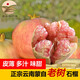 農多鮮云南蒙自甜石榴 產地直發(fā)新鮮應季水果孕婦水果 皮薄多汁味甜 6個試吃裝（單果180-240g）