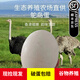 帆兒莊園鴕鳥蛋大號新鮮送禮佳品營養(yǎng)高養(yǎng)殖特產(chǎn)新鮮鴕鳥蛋蛋禮盒食用 3-3.2斤左右不帶禮盒