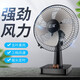 云澤 電風(fēng)扇家用床頭臺(tái)式大風(fēng)力輕音可定時(shí)可搖頭辦公室宿舍落地臺(tái)扇 黑色 12寸臺(tái)扇塑料葉