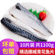 彈指鮮生挪威青花魚(yú)片 去頭去臟切片 冷凍大西洋鯖魚(yú) 【10片家庭裝】共1.1kg