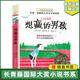長(zhǎng)青藤國(guó)際大獎(jiǎng)小說：想贏的男孩 9-14歲三四五六年級(jí)小學(xué)生課外閱讀騎狼女孩十二歲的旅程想贏的男孩晴天就去圖書館屋頂上的索菲喬希球場(chǎng)