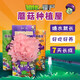 匠心綻放蘑菇種植屋 可食用菌包菌棒菌種新鮮7天長(cháng)成 兒童種植蘑菇套裝 【植物大戰僵尸】紅平菇 套裝
